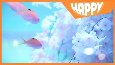 Fish and cherry blossom with the Happy News logo