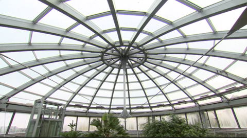 A view of the museum's glass dome with dozens of panes of glass. There is greenery below the structure. 