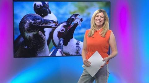 Jenny  in the Newsround studio