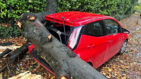 A fallen tree rests on the back of a damaged red car on a leaf-strewn street in Belfast.   The rear window is broken. 