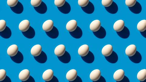 eggs in lines on a blue background