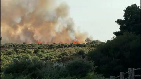 A31 fire