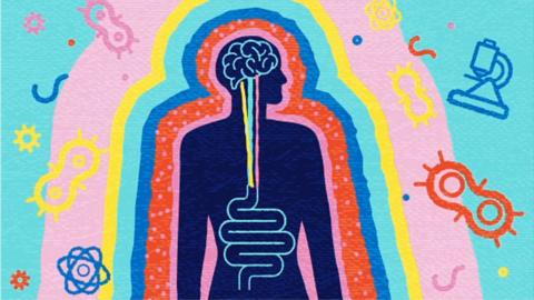A colourful illustration of a human body, showing the brain and guts