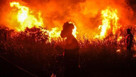 Indonesian firefighters, from Indonesian Disaster Management, try to extinguish a wildfire on September 14, 2023. Forest and land fires engulfed many parts of the country due to the El Nino-induced dry season.