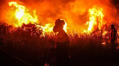 Indonesian firefighters, from Indonesian Disaster Management, try to extinguish a wildfire on September 14, 2023. Forest and land fires engulfed many parts of the country due to the El Nino-induced dry season.