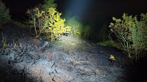 A bright light shines on a patch of burned heathland in the dark.
