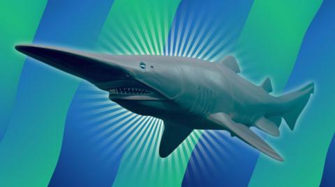 3d impression of the goblin shark.