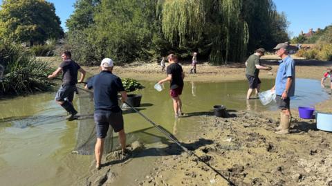 People in a pond using nets and jugs.
