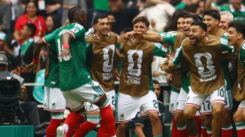 Mexico fan