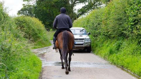A person wearing black riding a brown horse on a country lane. There is a silver car waiting for it to pass.