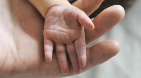 Baby's open hand resting on the fingers of an adult 