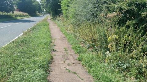 An overgrown path at the side of a tree-lined road. There is a grass verge and a hedge to the other side.