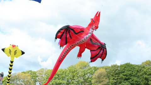 A large red kite is mid-air and designed to resemble a dragon. In the background are tree tops and a second yellow kite.