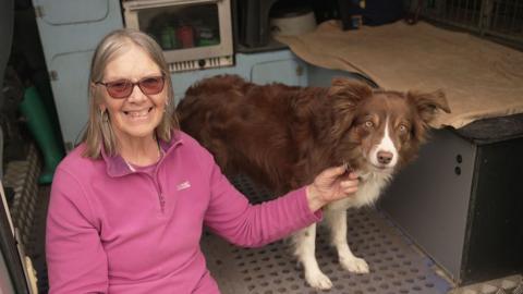 A smiling woman wearing sunglasses and a pink top in the back of a van, pictured next to a brown-and-white dog