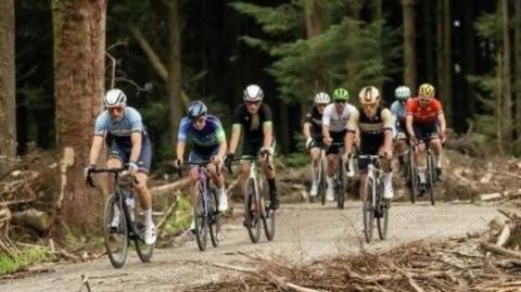 A group cycling through a plantation