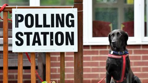 A particularly mournful looking black labrador retriever dog tied up to a wooden railing outside a polling station, denoted by a large sign