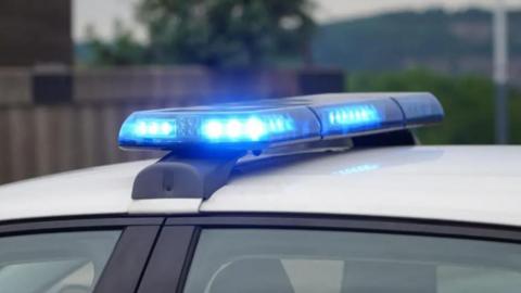 Stock image of flashing blue lights on the roof of a police vehicle. It is closely cropped in, and the background of a tree and a fence is out of focus.