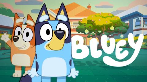Bluey