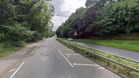 The road, which is bordered on both sides by a row of green trees, has a barrier separating the two sides of the carriageway. There is a pavement on the left had side.