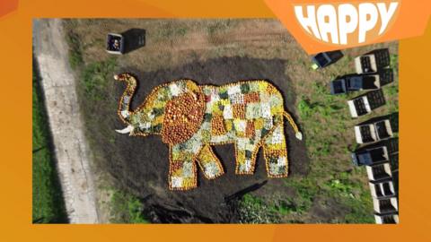 An elephant made up from pumpkins
