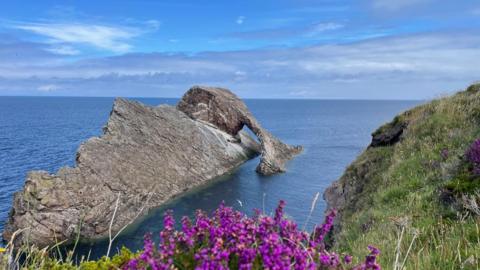 View of sea with large rock in sea to left, cliff edge to the right, purple flowers at the front, under a cloudy blue sky