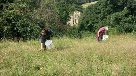 Two women with white buckets stand in long grass.