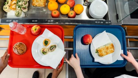 A red and blue food tray carrying water, apples, a muffin and a selection of wraps and sandwiches