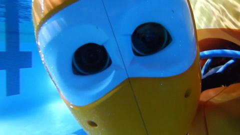 underwater robot face