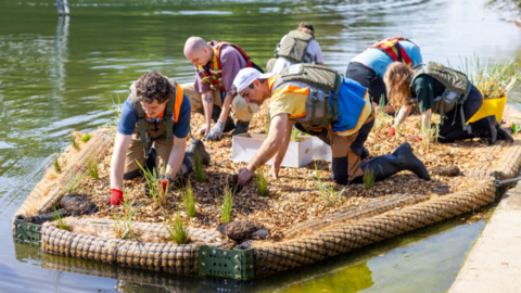 Researchers working on a floating wetland