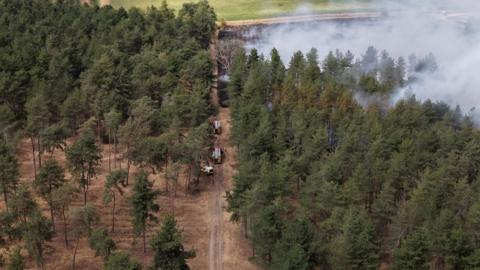 A drone shot of smoke from a wildfire billowing across woodland. There are fire engines on the scene.