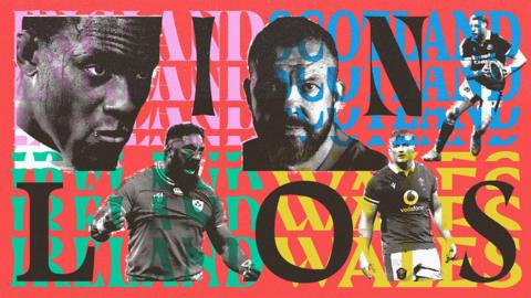 Lions graphic