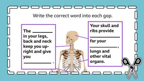 Cartoon image of a skeleton with labels, text and blank spaces for a child to fill in descriptions.