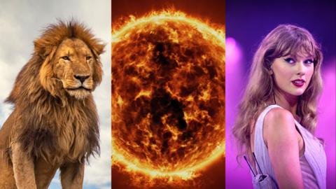 Comp Image of Lion, The Sun and Taylor Swift