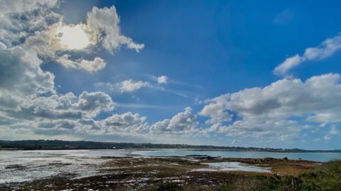 exposed marsh and grass on beach with tide out, view of curved coastline in distance, under a blue sunny sky with some cloud