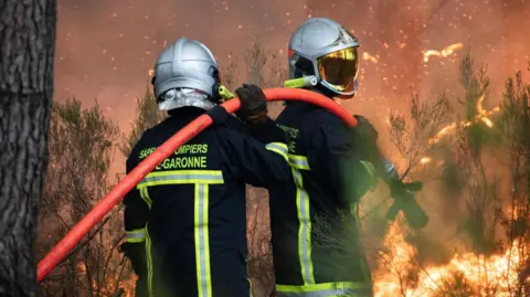Firefighters tackle blaze in south-west France