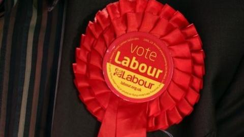 Labour rosette