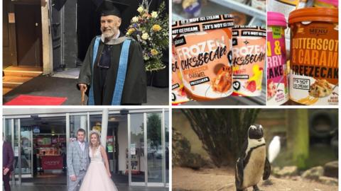 A collage of some of the images that relate to stories in the round up. The top left image is of a man graduating, bottom left of a couple getting married, top right of ice cream and bottom right of a penguin. 