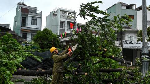 A worker in a yellow helmet uses a chainsaw to cut branches off a felled tree with foliage from the tree filling the foreground of the image and houses in the background near Quy Nhon beach in Gia Lai, central Vietnam, as Kalmaegi approached on Thursday.