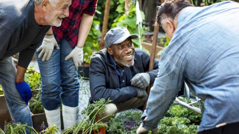 A group of four adults on an allotment talking and smiling
