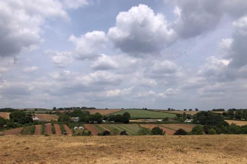 Rolling farmland beneath large clouds, with dry grass in the foreground in Exeter, Devon
