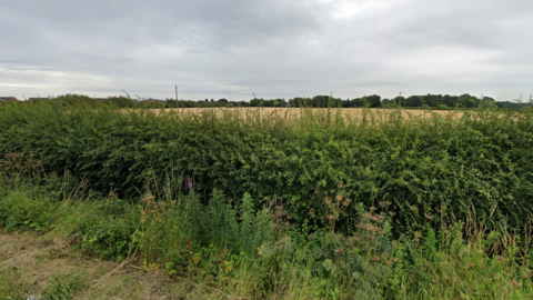 A large field behind a hedge