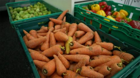 Three green, hard plastic food crates with sprouts, carrots and yellow and red peppers.
