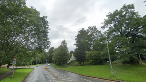 The view along a road, with trees to either side, and a car approaching in the distance. There are yellow bollards with keep left markers at a crossing point in the middle of the road.