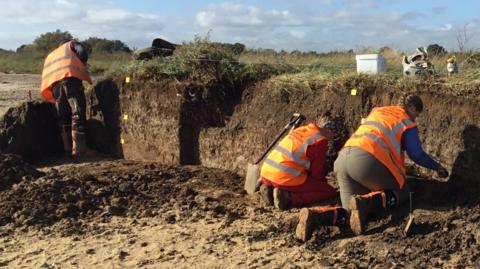Three people wearing orange hi-vis jackets dig and carry out surveys on a portion of muddy land next to a grass verge on a seafront. They are bending down, their backs to the camera.