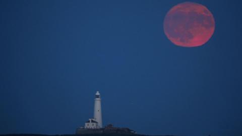 Strawberry Moon rising over St Mary's Lighthouse in Whitley Bay.