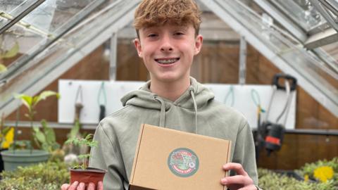 A boy wearing a green hooded jumper and brown hair holds a tomato plant and growing kit, while standing inside a greenhouse surrounded by plants.