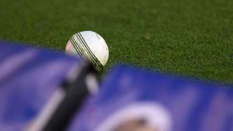 Stock image of a cricket ball by a boundary rope