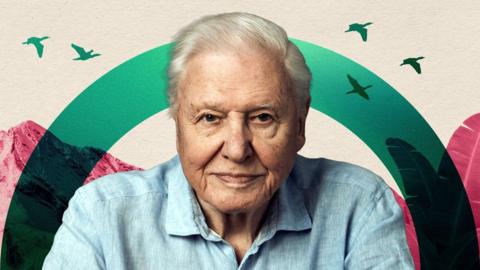 A cut out photo of a grey haired David Attenborough looking at the camera, wearing a blue shirt and shown from shoulder up. Behind him is a graphic design of a green arc against a baige background with pink mountains and leaves, and flying green birds