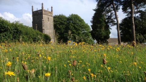 A church in the distance, and in the foreground are wildflowers among the grass