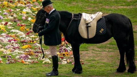 Emma, the Queen's fell pony